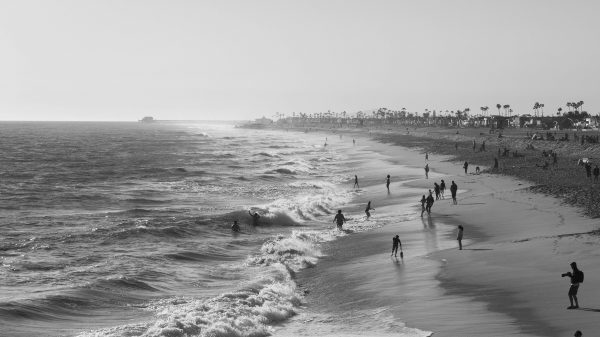 Newport Beach Surf Park