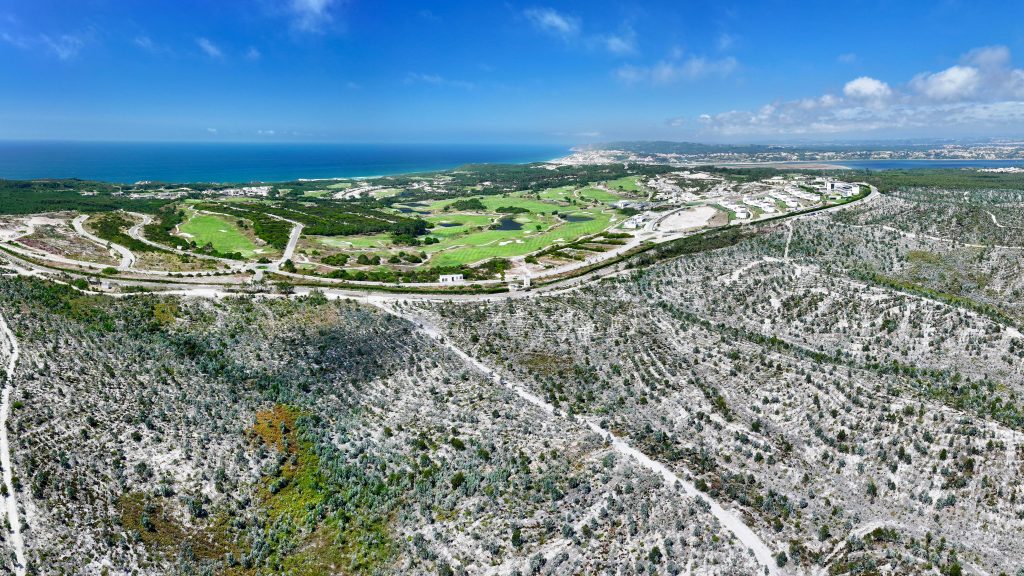 Surfers Cove, a Wavegarden project